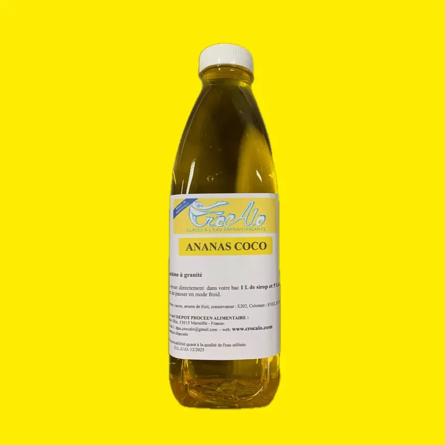 Sirop granita concentré ananas x6