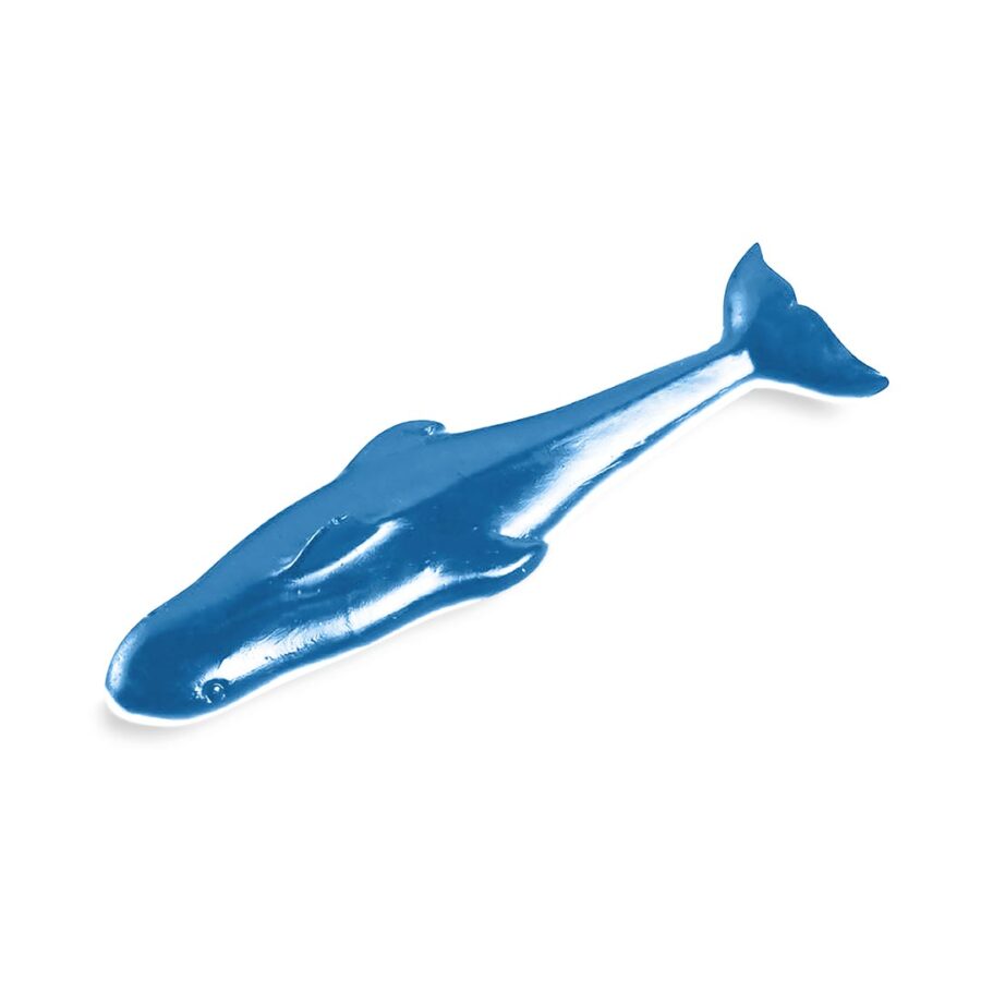 Requin 1 kg